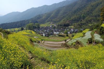DSC_2518a.jpg