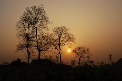 DSC_2378a.jpg