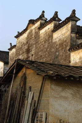 DSC_2438a.jpg