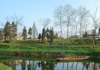 DSC_2698a.jpg
