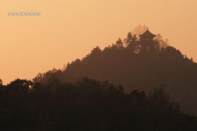 DSC_2747a.jpg