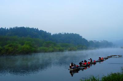 DSC_2772a.jpg