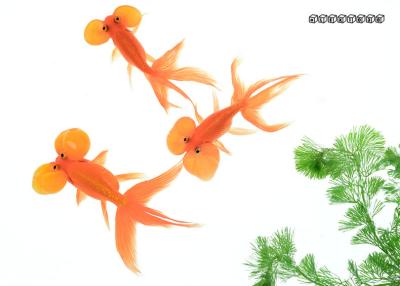 goldfish4-a.jpg