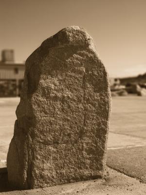 PICT0042.jpg