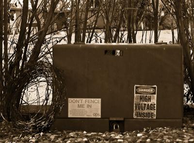 PICT0120.jpg