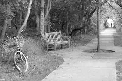 Lovers Lane (crop 1)