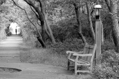 Lover's Lane (crop 2)