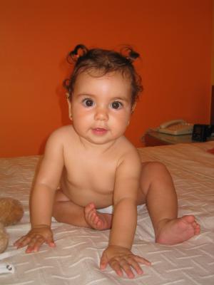 6 MESES