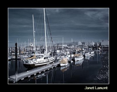 Quiet Harbor