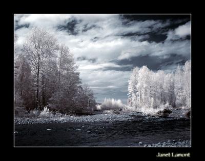 Dungeness River