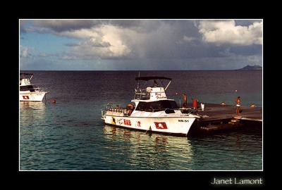 Reef Freedom