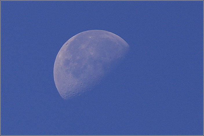 moon.jpg