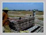 Bledug Kuwu