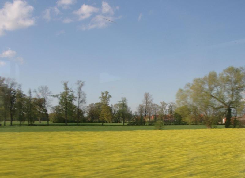 Fields of honey