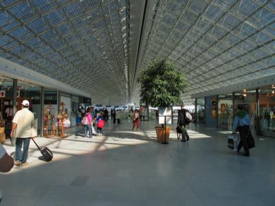 IMG_6649.jpg