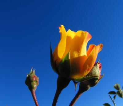 IMG_7721.jpg