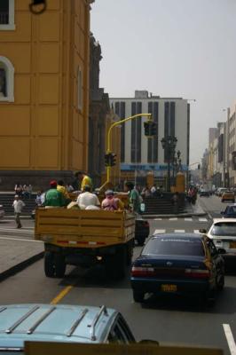 IMG_2873.jpg