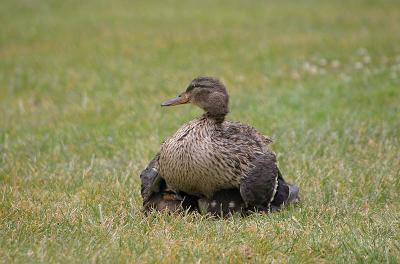 IMG_6232.jpg