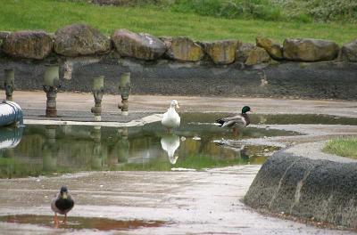 IMG_6235.jpg