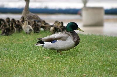 IMG_6249.jpg