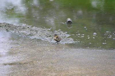 IMG_6292.jpg
