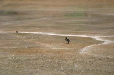 IMG_6294.jpg