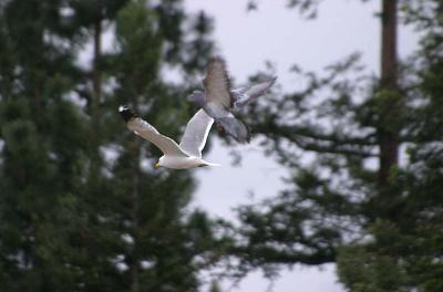 IMG_6304.jpg