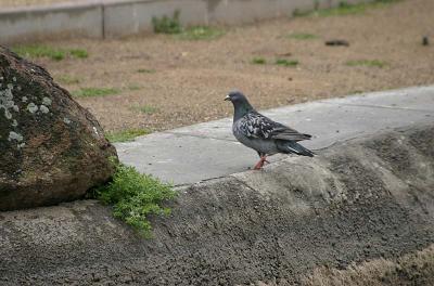 IMG_6308.jpg
