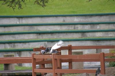 IMG_6312.jpg