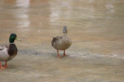 IMG_6313.jpg