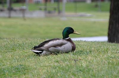 IMG_6319.jpg