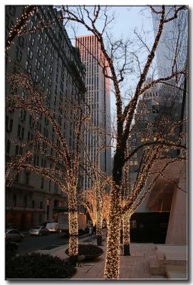 lighting display on street