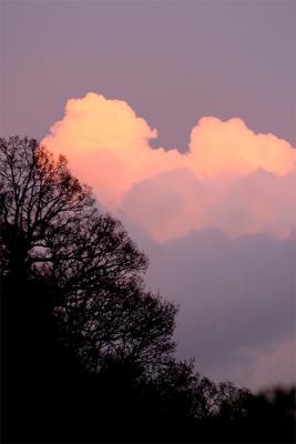 pink clouds