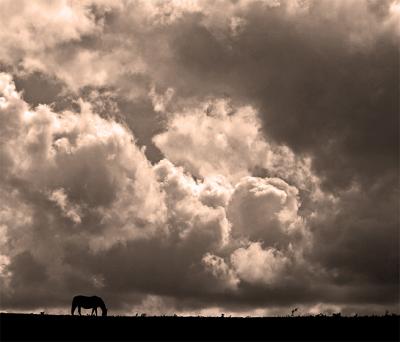 silhouette