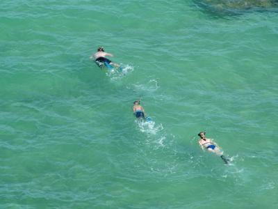Hanauma Bay Snorkeling