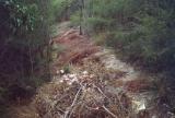 The Top Trench