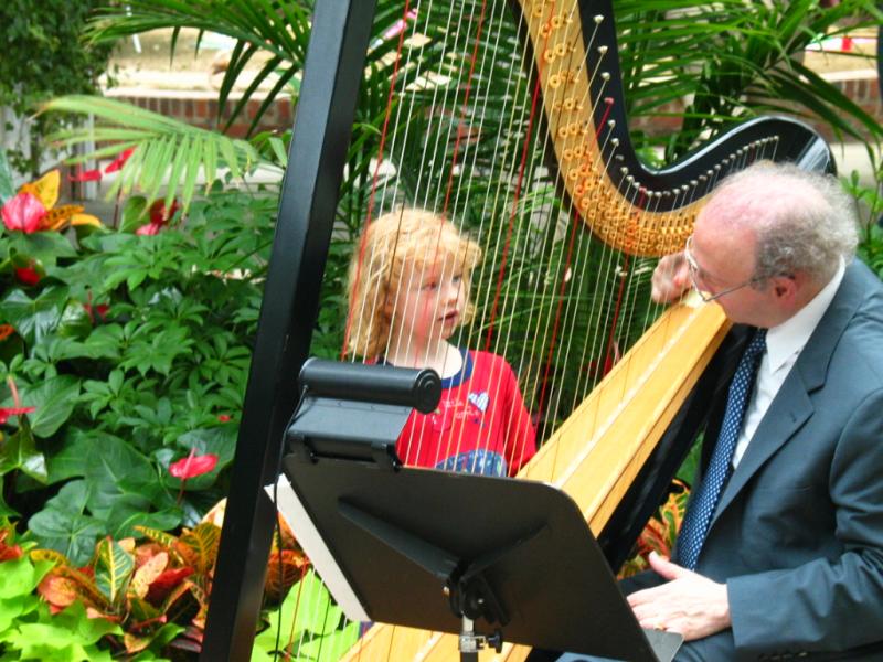 Harp in Botanic Garden