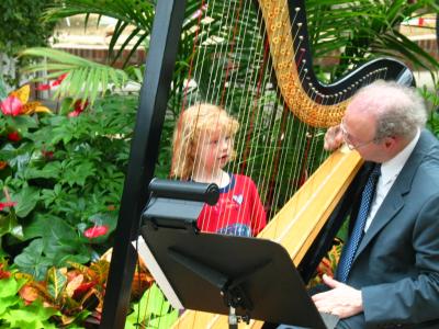 Harp in Botanic Garden