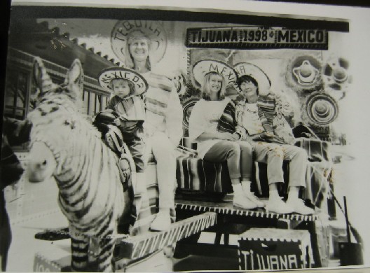 TJ Zebra (made from a donky!!)