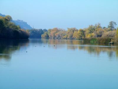 Snake River with Ducks UL.jpg