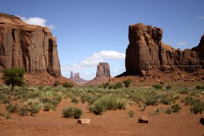 u43/bearpaw/medium/28166226.north_window.jpg