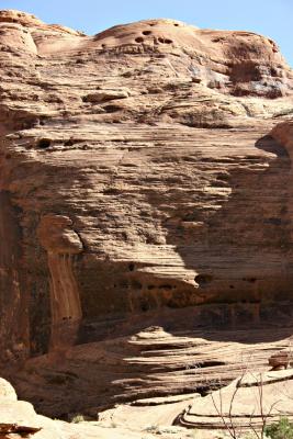 Anasazi Tracks