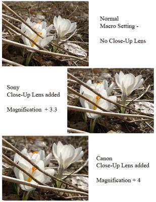  Sony  vs. Canon 250D Close-up Lens - Flash Comparison