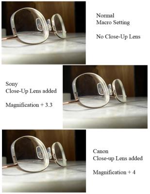  Sony  vs. Canon 250D Close-up Lens - Flash Comparison