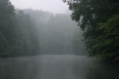 Morning Mist over Lake