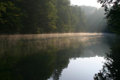 Morning Fog on Lake