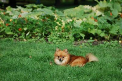 Sept6c_04_075.JPG