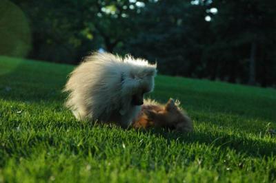 Sept10d_04_259.JPG
