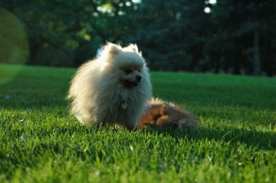 Sept10d_04_261.JPG