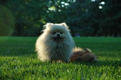 Sept10d_04_266.JPG